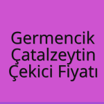 Germencik Çekici Fiyatı – Çatalzeytin Oto Kurtarıcı Ücreti