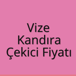 Vize Çekici Fiyatı – Kandıra Oto Kurtarıcı Ücreti