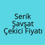 Serik Çekici Fiyatı – Şavşat Oto Kurtarıcı Ücreti