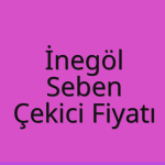 İnegöl Çekici Fiyatı – Seben Oto Kurtarıcı Ücreti