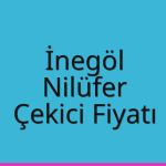 İnegöl Çekici Fiyatı – Nilüfer Oto Kurtarıcı Ücreti