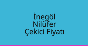 İnegöl Çekici Fiyatı – Nilüfer Oto Kurtarıcı Ücreti