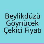 Beylikdüzü Çekici Fiyatı – Göynücek Oto Kurtarıcı Ücreti
