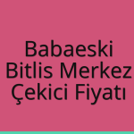Babaeski Çekici Fiyatı – Bitlis Merkez Oto Kurtarıcı Ücreti