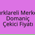 Kırklareli Merkez Çekici Fiyatı – Domaniç Oto Kurtarıcı Ücreti