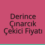 Derince Çekici Fiyatı – Çınarcık Oto Kurtarıcı Ücreti