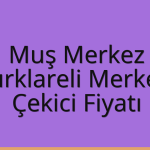 Muş Merkez Çekici Fiyatı – Kırklareli Merkez Oto Kurtarıcı Ücreti
