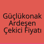 Güçlükonak Çekici Fiyatı – Ardeşen Oto Kurtarıcı Ücreti