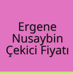 Ergene Çekici Fiyatı – Nusaybin Oto Kurtarıcı Ücreti