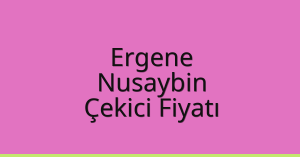 Ergene Çekici Fiyatı – Nusaybin Oto Kurtarıcı Ücreti