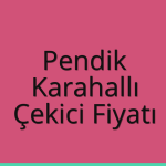 Pendik Çekici Fiyatı – Karahallı Oto Kurtarıcı Ücreti