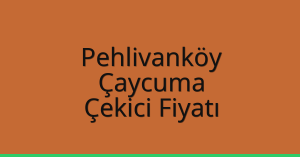 Pehlivanköy Çekici Fiyatı – Çaycuma Oto Kurtarıcı Ücreti
