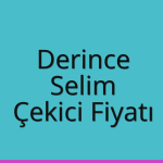Derince Çekici Fiyatı – Selim Oto Kurtarıcı Ücreti