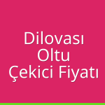 Dilovası Çekici Fiyatı – Oltu Oto Kurtarıcı Ücreti