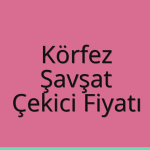 Körfez Çekici Fiyatı – Şavşat Oto Kurtarıcı Ücreti