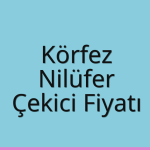 Körfez Çekici Fiyatı – Nilüfer Oto Kurtarıcı Ücreti