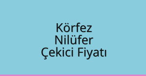 Körfez Çekici Fiyatı – Nilüfer Oto Kurtarıcı Ücreti