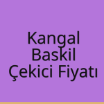 Kangal Çekici Fiyatı – Baskil Oto Kurtarıcı Ücreti