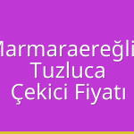 Marmaraereğlisi Çekici Fiyatı – Tuzluca Oto Kurtarıcı Ücreti